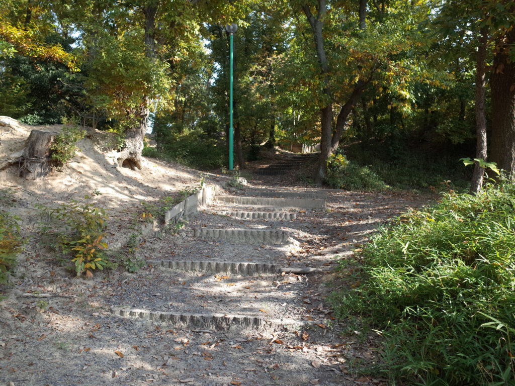 津雲公園の階段